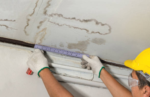 Reliable Mold Remediation contractor in Clarksville, TX by Local Water Damage Repair